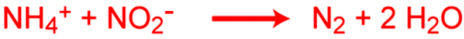 Ciclo del nitrógeno: Fórmula de la "oxidación anaerobia del ión amonio" u "oxidación anaerobia del amoníaco"