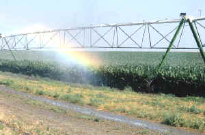 agricultura y clímax vegetal