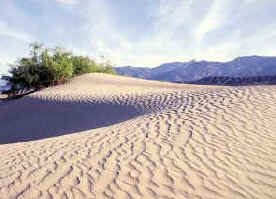 desertizacion, erosión del suelo