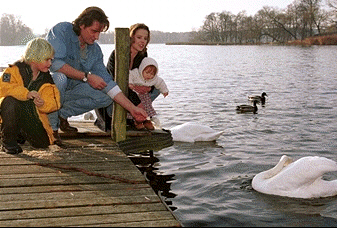 El hombre, a pesar de pertenecer al reino animal, y dada su capacidad de transformar los materiales que le rodean, se dan en su medio unos condicionamientos diferentes a los demás seres vivos