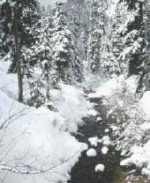 factores físicos y químicos del ambiente 