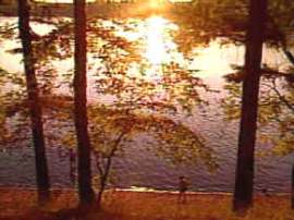 Ecología: fotoperiodo 