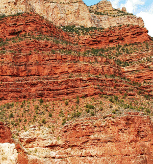 En las rocas sedimentarias se aprecian los diferentes materiales acumulados en capas a lo largo del tiempo, distinguibles por las diferencias de color y composición