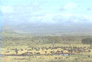 Sabana de Kenia