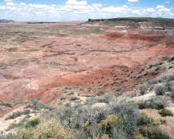 Los suelos son estructuras dinámicas que van cambiando desde sus inicios hasta adquirir un equilibrio con el entorno