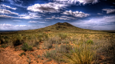 La sucesión primaria intenta alcanzar el climax partiendo de una zona desnuda, por ejemplo un terreno originalmente volcánico