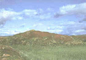 Tundra del norte de Suecia 