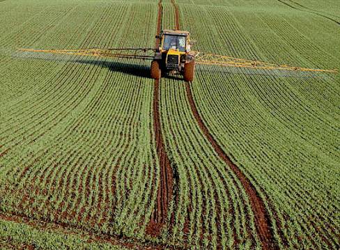 La Revolución Verde significó una serie de técnicas y procedimientos agrícolas distintos a los tradicionales, que consiguió multiplicar las producciones