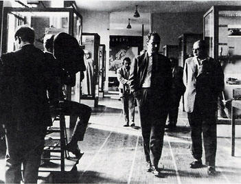 Crónica de un verano