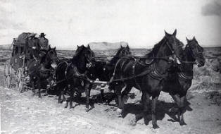 El trabajo del guionista Dudley Nichols para La diligencia (1939), fue muy importante.