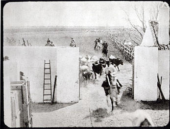 Encierro de toros en España