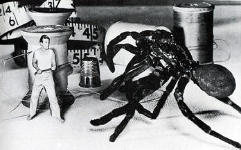 El increíble hombre menguante (1957), de Jack Arnold