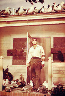 Robert Burks fue el director de fotografía de Los pájaros (1963).