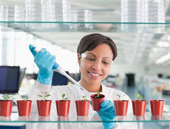 Las ciencias aplicadas a la horticultura proveen métodos interdisciplinares para la obtención del máximo rendimiento y de productos de superior calidad