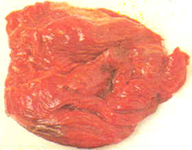 Carnes: espaldilla o paletilla