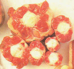 Carne de rabo de ternera