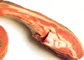 Carne de pecho con hueso