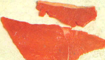 Escalopes y fritos rápidos