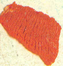 Escalopes y fritos rápidos