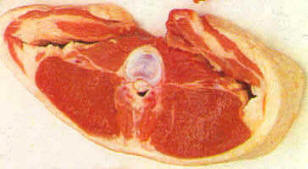 Chop con hueso de cordero