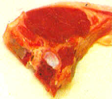 chuletas de palo de cordero