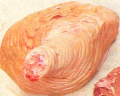 Medio jamón, extremo del codillo