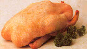 Conservación de los ánades