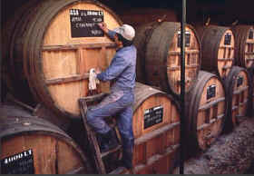 Operación de catalogado de un vino tras su almacenamiento