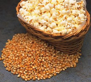 Maíz en grano para palomitas