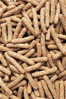 Salvado de trigo ya procesado