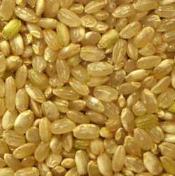 Arroz moreno de grano corto