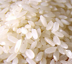 Arroz de grano corto o arroz de pudín