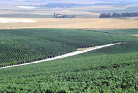 Viñedos de Champagne, Francia