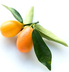 Kumquats