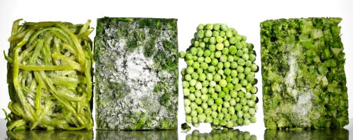 Bloques de verduras congeladas