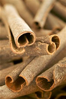 Canela (Cinnamomum zeylanicum)