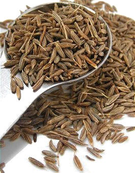 Comino (Cuminum cyminum)