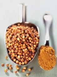 Coriandro (Coriandrum sativum)