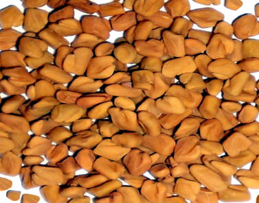 Semillas de fenogreco (Trigonella foenumgraecum)