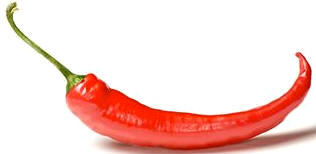 Guindilla (Capsicum frutescens)