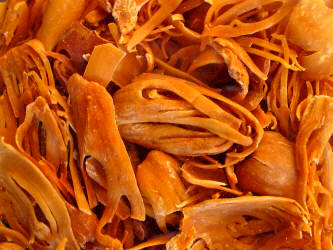 Macis en hoja (Myristica fragrans)