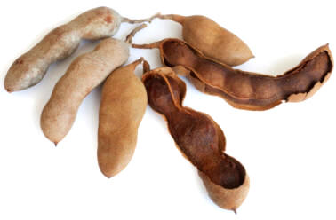 Tamarindo (Tamarindus indica)