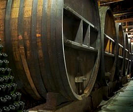 Crianza de vino en barricas de roble