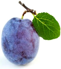 Ciruela Damson