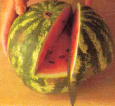 Cestillos de melón o sandía