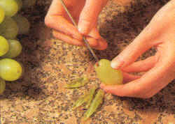 Preparación y presentación de las uvas
