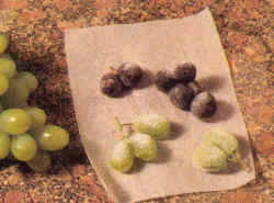 Uvas escarchadas