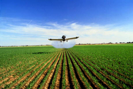 El sector de los insecticidas ha causado gran alarma en el pasado por sus efectos medioambientales, y en la capacidad de eliminar los insectos de forma indiscriminada, como las abejas