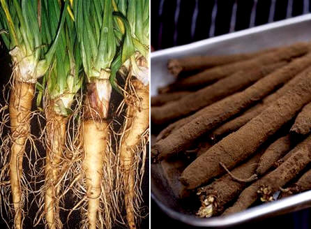 Salsifis y escorzoneras