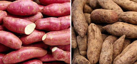Batatas y boniatos
